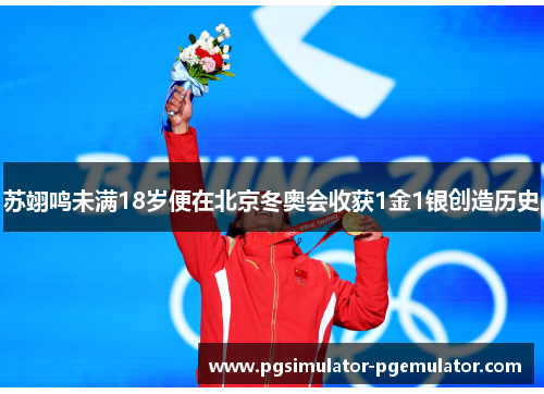 苏翊鸣未满18岁便在北京冬奥会收获1金1银创造历史 苏翊鸣未满18岁便在北京冬奥会收获1金1银创造历史