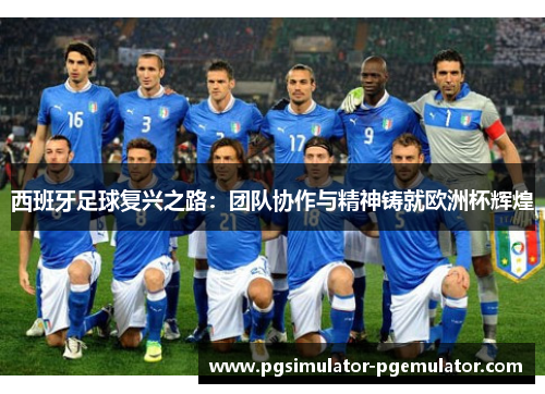 西班牙足球复兴之路：团队协作与精神铸就欧洲杯辉煌
