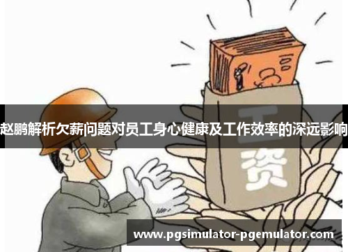 赵鹏解析欠薪问题对员工身心健康及工作效率的深远影响