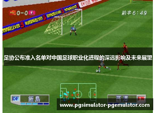 足协公布准入名单对中国足球职业化进程的深远影响及未来展望 足协公布准入名单对中国足球职业化进程的深远影响及未来展望