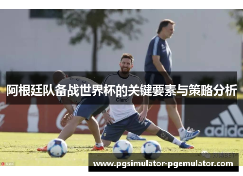 阿根廷队备战世界杯的关键要素与策略分析