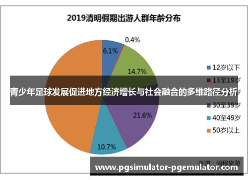 青少年足球发展促进地方经济增长与社会融合的多维路径分析