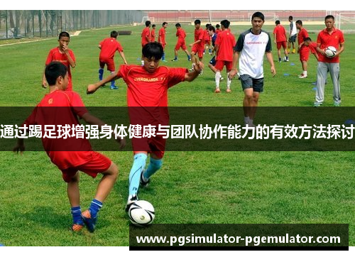 通过踢足球增强身体健康与团队协作能力的有效方法探讨
