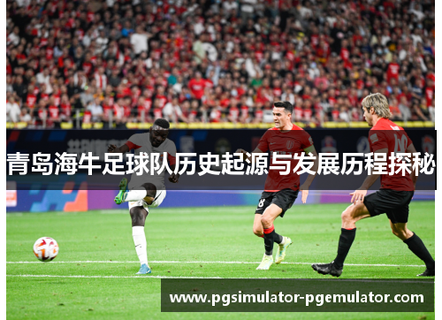 青岛海牛足球队历史起源与发展历程探秘 青岛海牛足球队历史起源与发展历程探秘